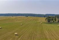 160 ACRES OF PRIME CANADIAN LAND WITH EASY COMMUTE TO CALGARY