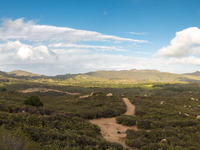 54 ACRE PARCEL AT THE PRESERVE