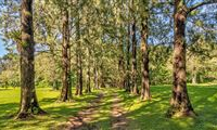 AMAZING LOT IN HEREDIA