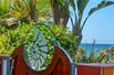 CHARMING BEACH CHIC RENTAL