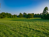 MARMOTA FARM