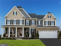 Single Family