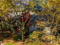 PREMIUM RAVINE LOT