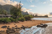 CUSTOM GATED HOME ON THE NORTH SHORE