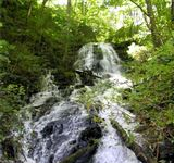 WINTERMONT - 248 ACRE MOUNTAIN PROPERTY