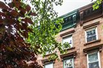 ELEGANT CLINTON HILL BROWNSTONE PLUS CARRIAGE HOUSE