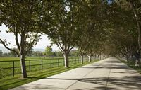 RIVER EDGE FARM