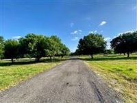 AMAZING 40 ACRE PROPERTY