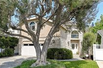 MINT CONDITION TREE SECTION HOME