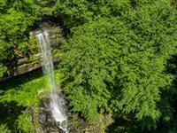 BEAUTIFUL WOODED ACRES WITH NINETY FOOT WATERFALL