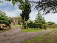 WALNUT TREE
