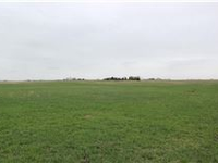 137 ACRES IN SUPER LOCATION