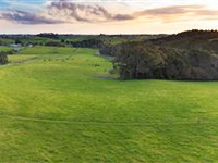 GORGEOUS COUNTRY PROPERTY IN NEW ZEALAND