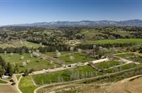 THE ANVIL RANCH