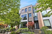 A CHARMING TREE-LINED STREET IN LINCOLN PARK