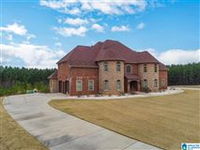 EUROPEAN STYLE MANSION ON 17 PRIVATE ACRES