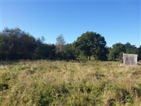 OVER ONE ACRE IN BISHOPS GREEN