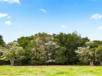 BEAUTIFUL LAND PLOT READY TO BUILD A DREAM HOME