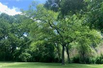 A MAGICAL AND UNIQUE 1.9 ACRE PROPERTY