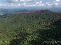 AMAZING OPPORTUNITY TO OWN 117 ACRES