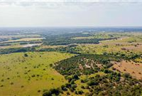 GORGEOUS RAW LAND WITH MANY IDEAL HOME SITES