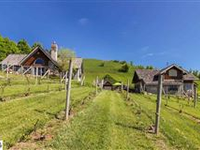 WILLOW VINEYARD AND WINERY WITH EUROPEAN INFLUENCED VILLA