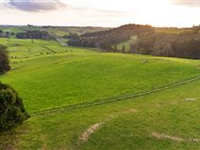 SIZEABLE LAND PLOT IN THE NEW ZEALAND COUTNRYSIDE