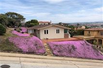 FABULOUS LA PLAYA COTTAGE