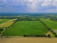 A HOMESTEADING OR HOBBY FARM DELIGHT