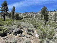 TWO BEAUTIFUL 20 ACRE PARCELS