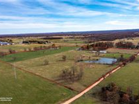 STUNNING 40-ACRE CATTLE FARM IN GENTRY