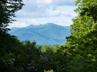 LEAFSTONE RETREAT