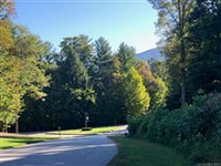 EXTREME PRIVACY ADJOINING THE BILTMORE ESTATE