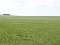120.67 ACRES OF FARMLAND!
