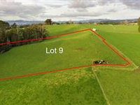 BEAUTIFUL COUNTRY LAND PLOT IN NEW ZEALAND