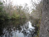 BEAUTIFUL ACREAGE